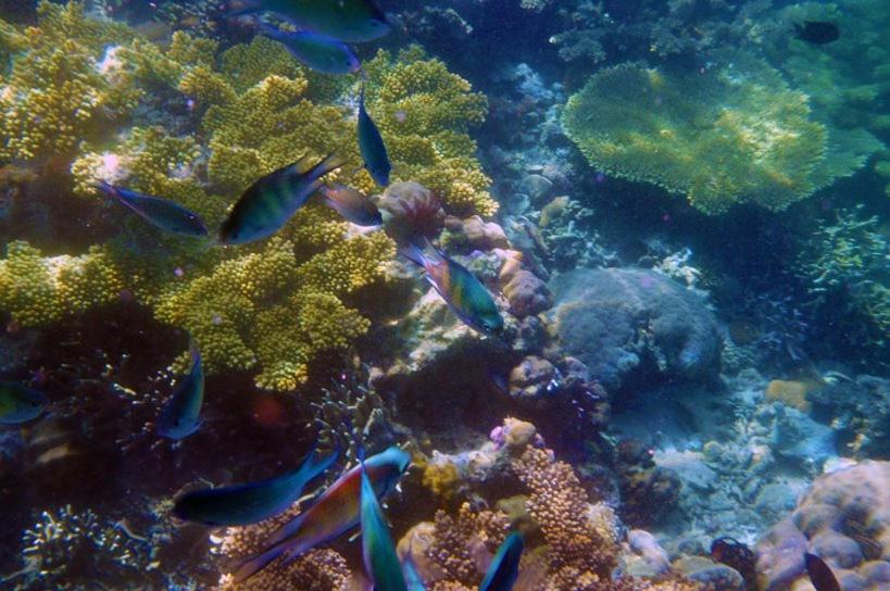Balaibinda Lodge Coron Bagian luar foto