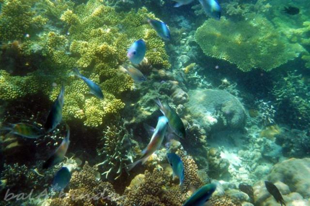 Balaibinda Lodge Coron Bagian luar foto