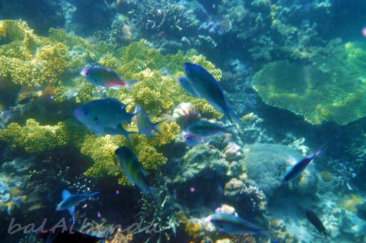 Balaibinda Lodge Coron Bagian luar foto